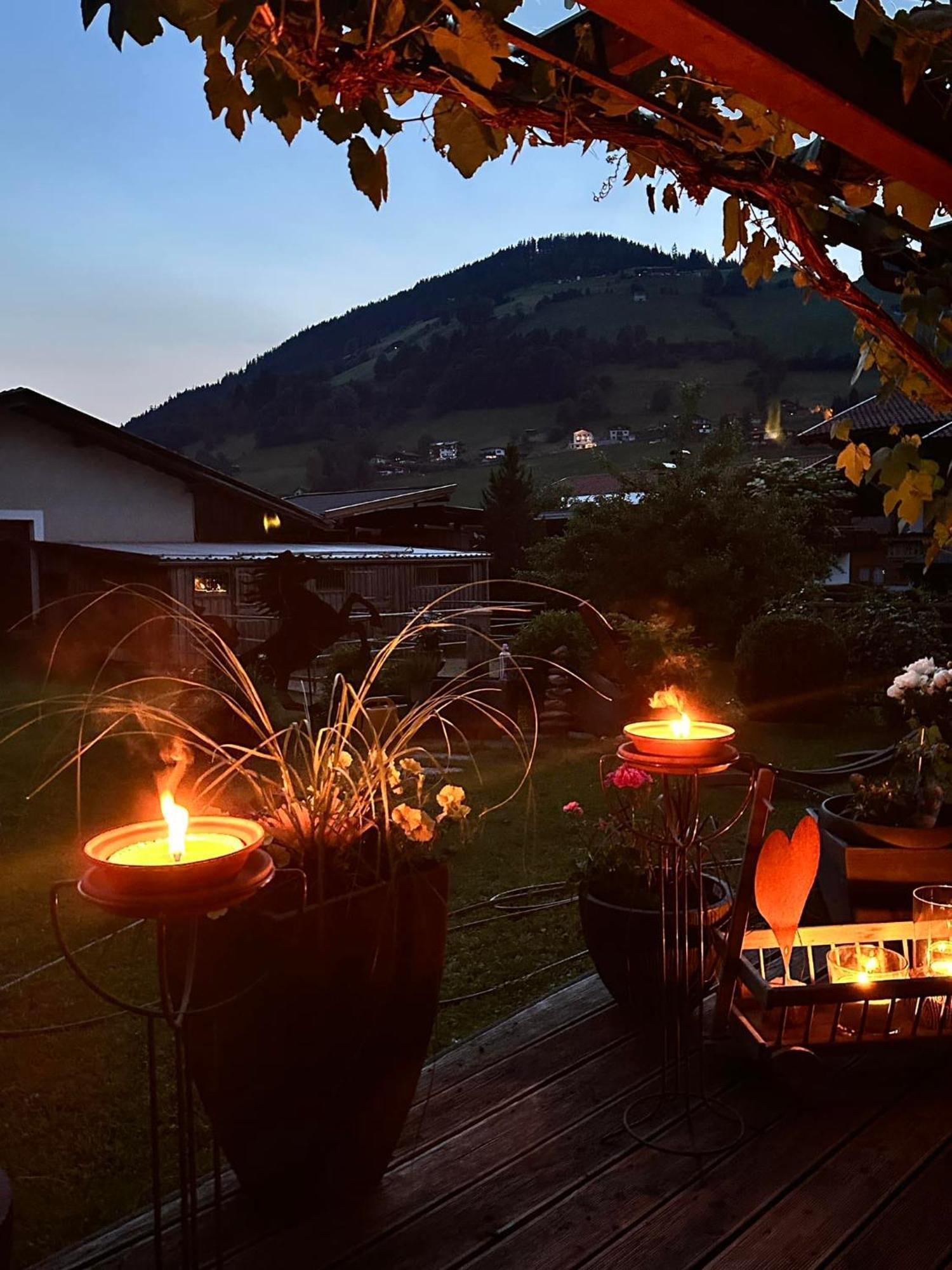 Alpenhof Wildschönau Apartment Niederau