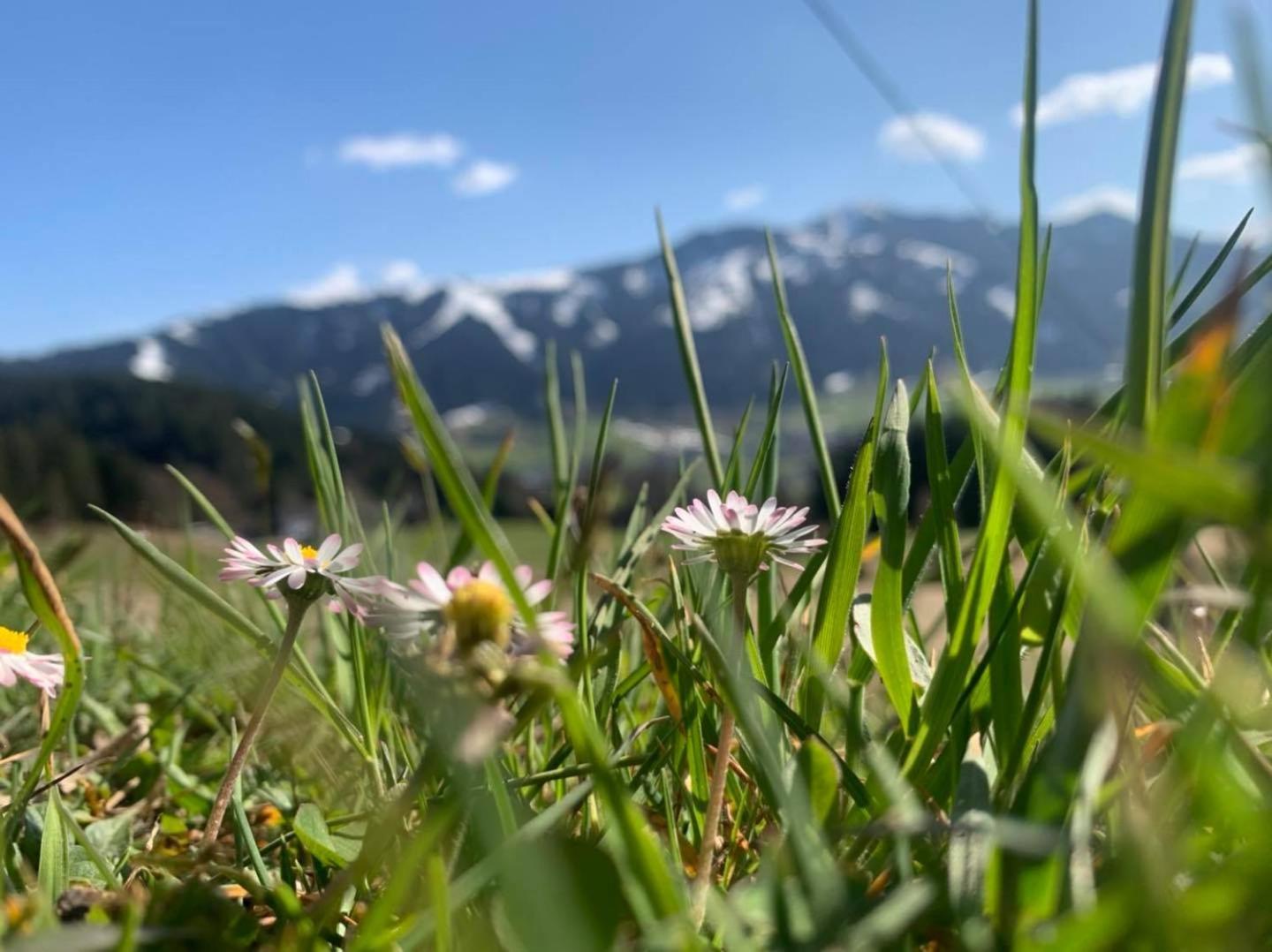 Alpenhof Wildschönau Niederau