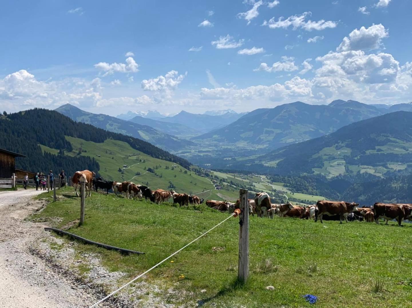 Apartment Alpenhof Wildschönau *
